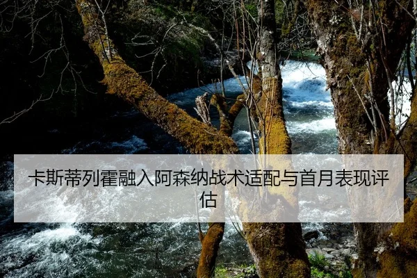 卡斯蒂列霍融入阿森纳战术适配与首月表现评估
